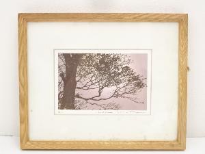 絵画　木村光佑　印刷　額装